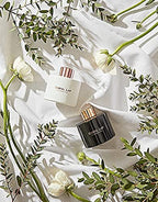 Eucalyptus Reed Diffuser Set/Fragrance Oil Diffuser Reeds/Scent Diffuser/Reed Diffuser Sticks/Room Decor/Office Decor/Home Fragrance Products & Gifts
